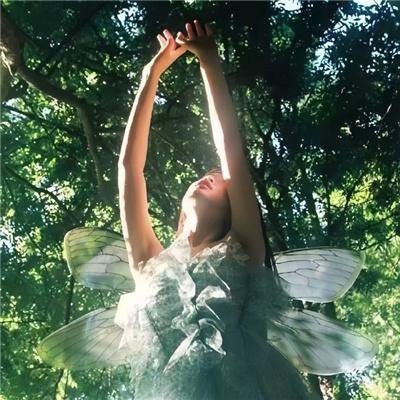 游戏结束，老兄！